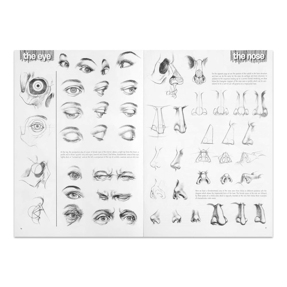 Leonardo Collection Drawing Learning Book - The Fundamentals Of Drawing, Vol. III