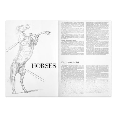 Leonardo Collection Drawing Learning Book - Horses
