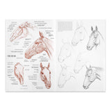 Leonardo Collection Drawing Learning Book - Horses