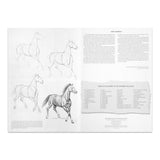 Leonardo Collection Drawing Learning Book - Horses
