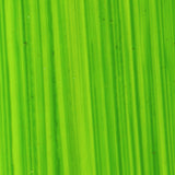 Michael Harding Oil Paint, Colours 1-62 (Part 1/2)
