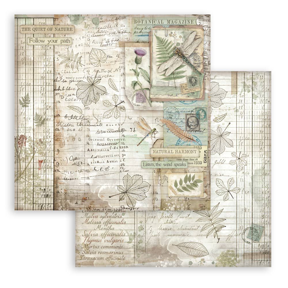 Stamperia Double-Sided Scrapbooking Paper Set - Herbarium Silvae,  10 units