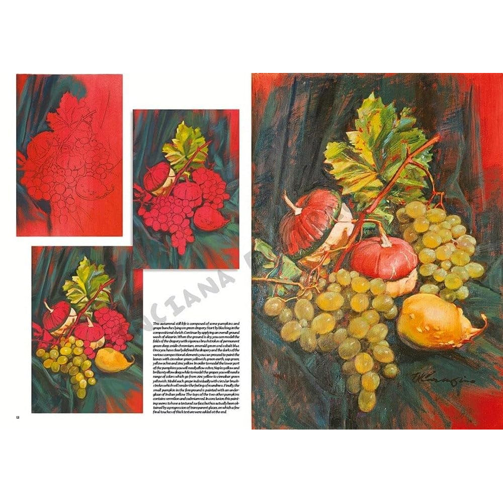Leonardo Collection Drawing Learning Book - Still Life